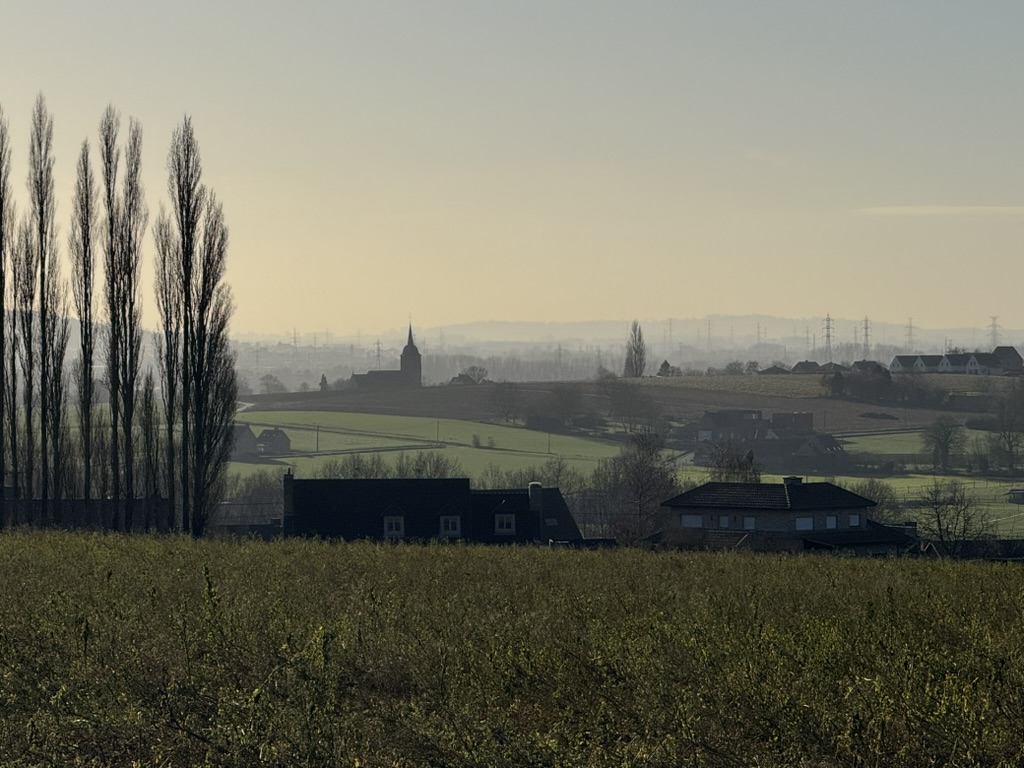 Zonnig terras De Vluchtheuvel